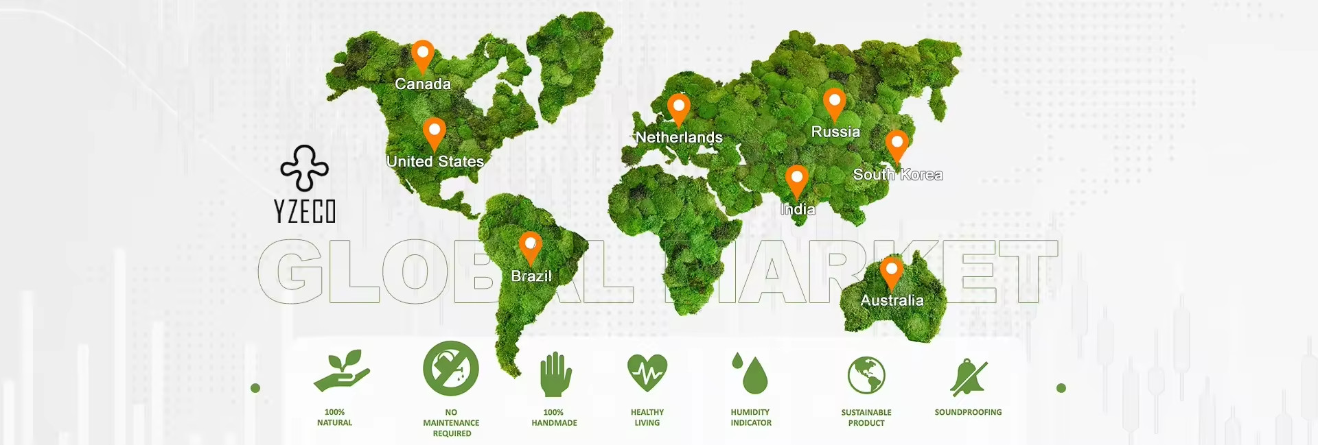 qualité La mousse naturelle préservée usine