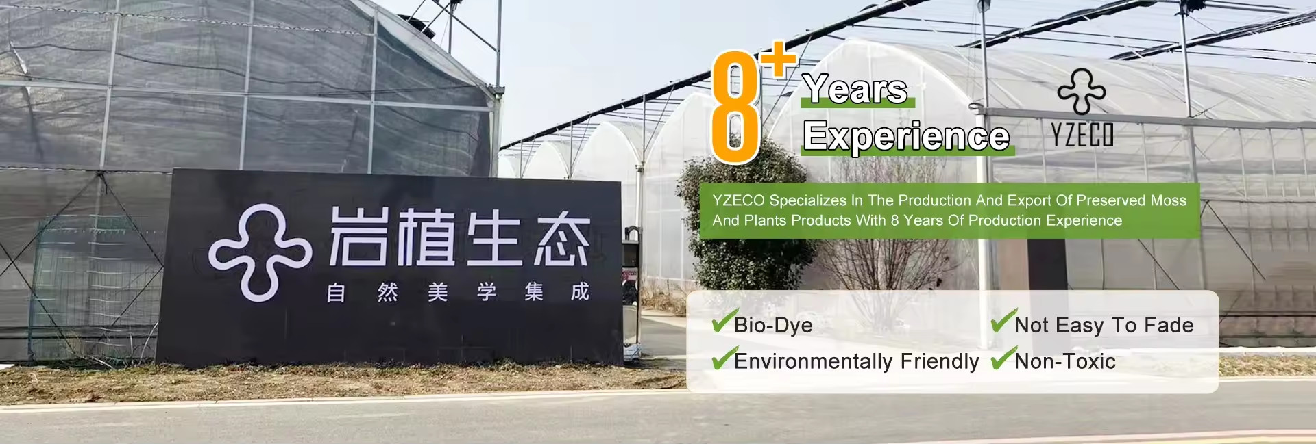 qualité La mousse naturelle préservée usine